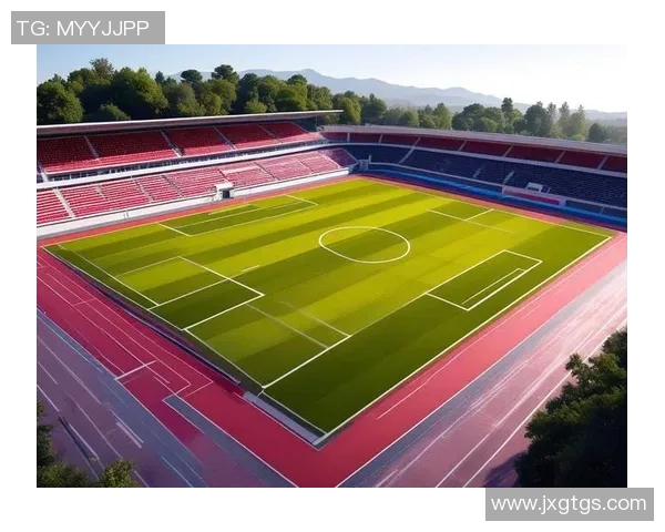 足球场上的明星区域解析:球员聚焦点与比赛走势的关键影响 足球场上的明星区域解析:球员聚焦点与比赛走势的关键影响