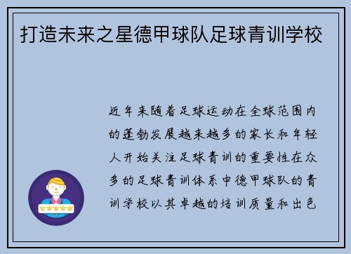 打造未来之星德甲球队足球青训学校
