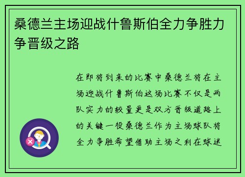 桑德兰主场迎战什鲁斯伯全力争胜力争晋级之路