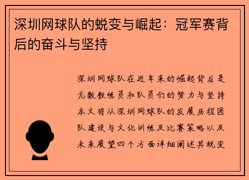 深圳网球队的蜕变与崛起：冠军赛背后的奋斗与坚持