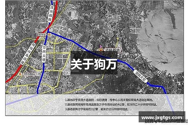 关于狗万